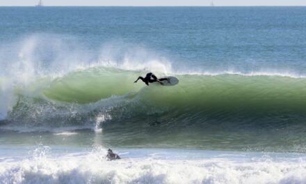 Leftovers, Thanksgiving Gallery Part 2