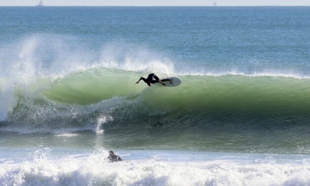 Leftovers, Thanksgiving Gallery Part 2